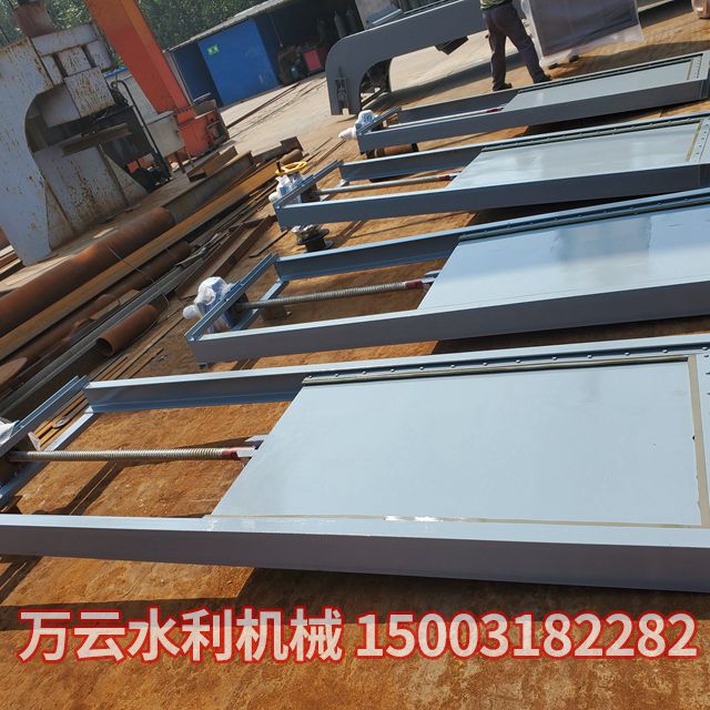 機(jī)閘一體式閘門 (4)